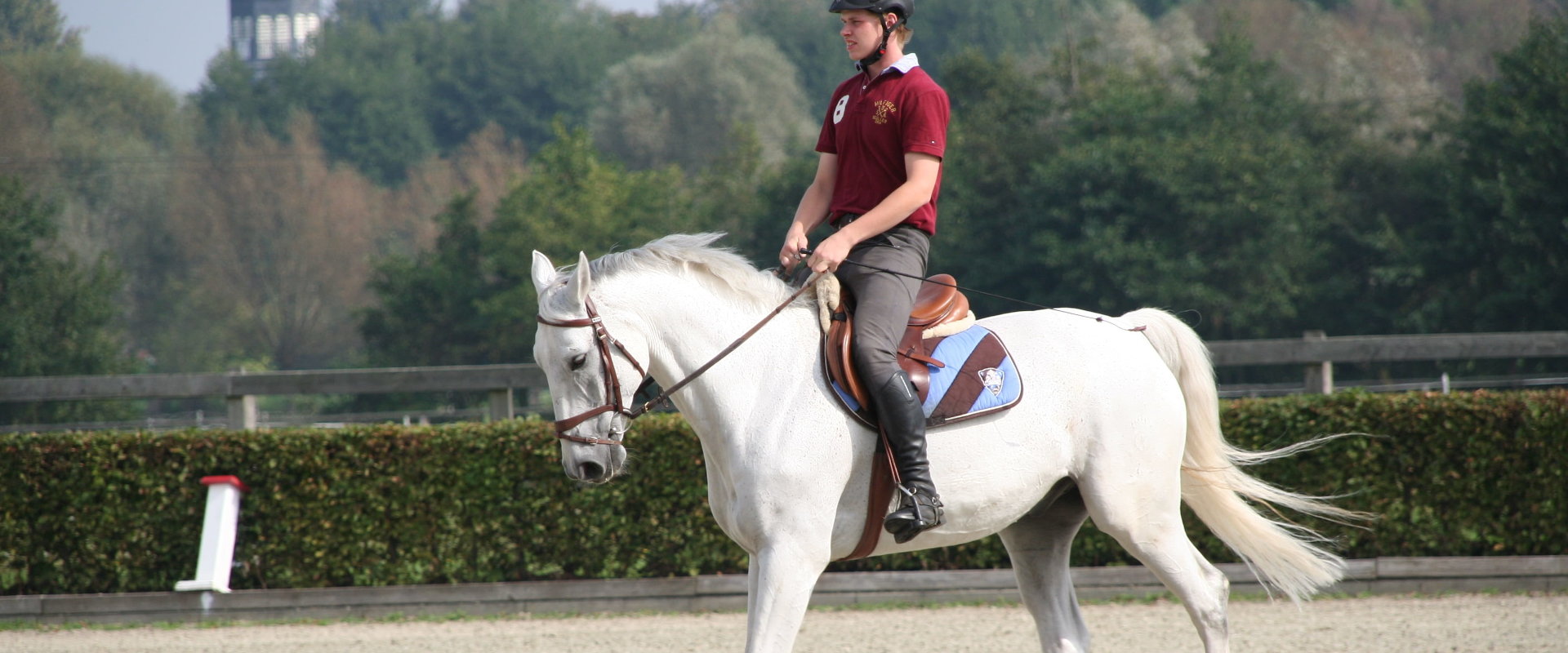 Reiten lernen auf Reitplatz