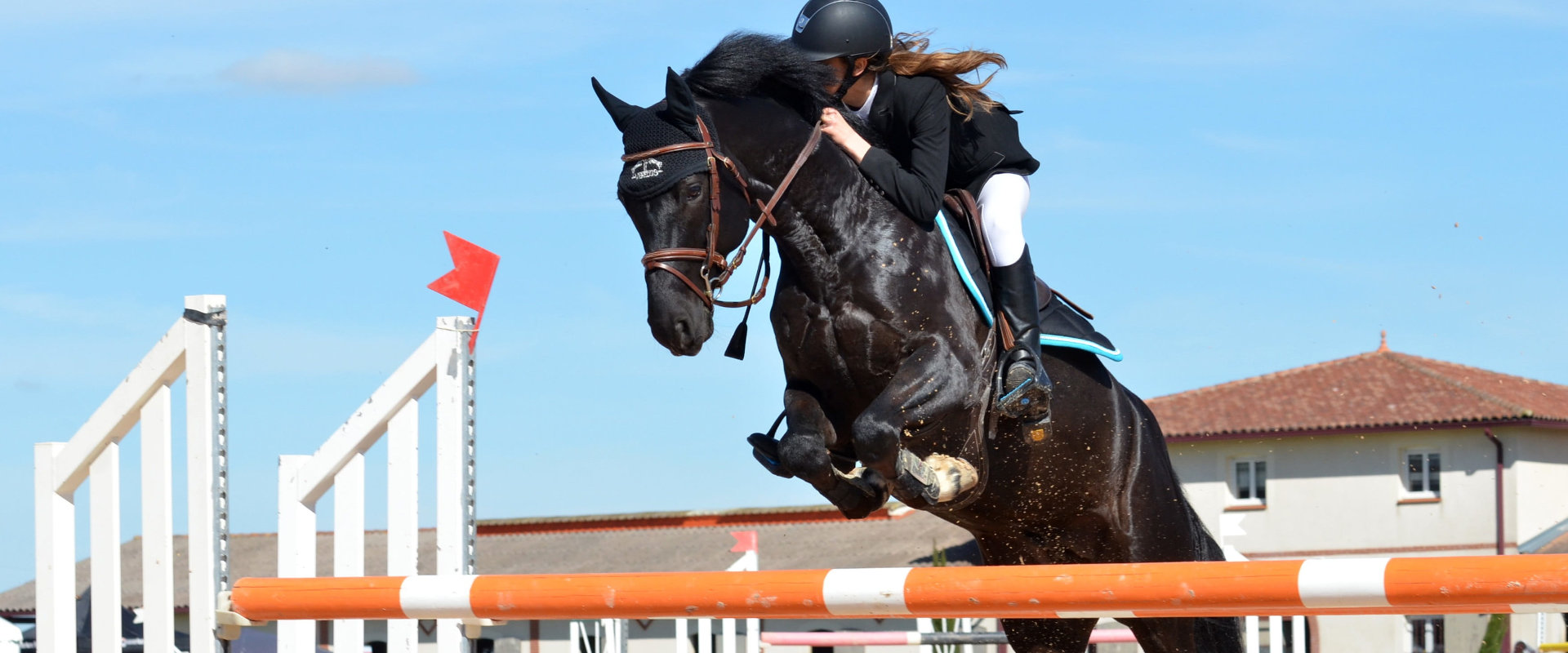 Reiten lernen Springreiten